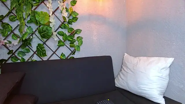 Ari_stone webcam