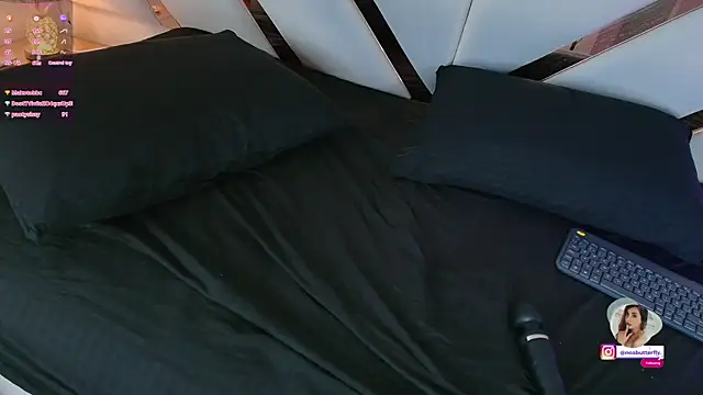 Noa_butterfly_ webcam