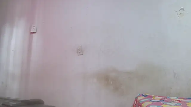 pircohg webcam
