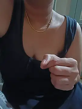 Hansikatelugu webcam