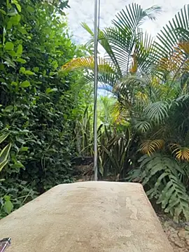 roxyrougee webcam