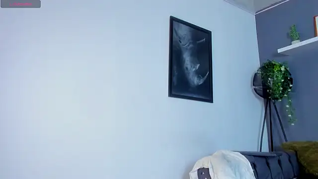 Kira_Exe_ webcam