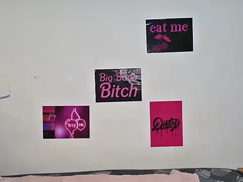 Aria_ah webcam