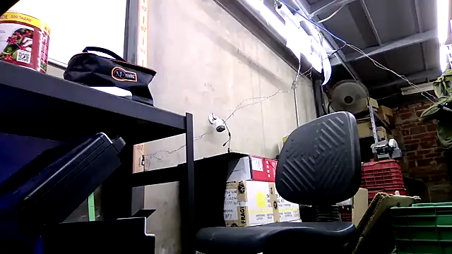 BustedCall webcam