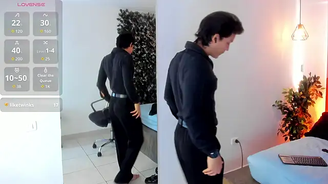 LevinFox webcam
