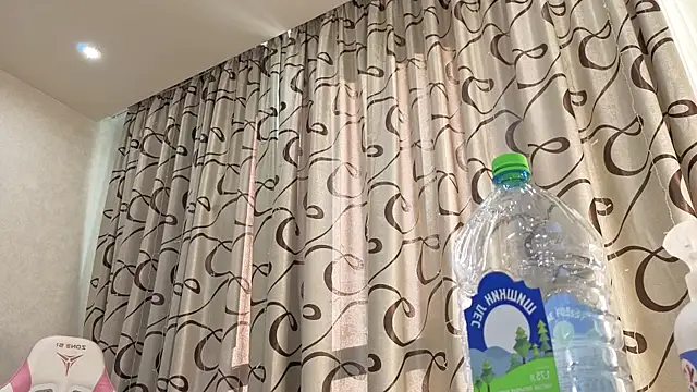 dolly_ll webcam