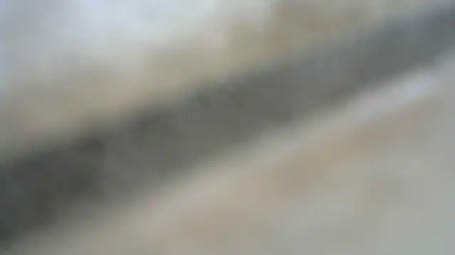 alkro63 webcam