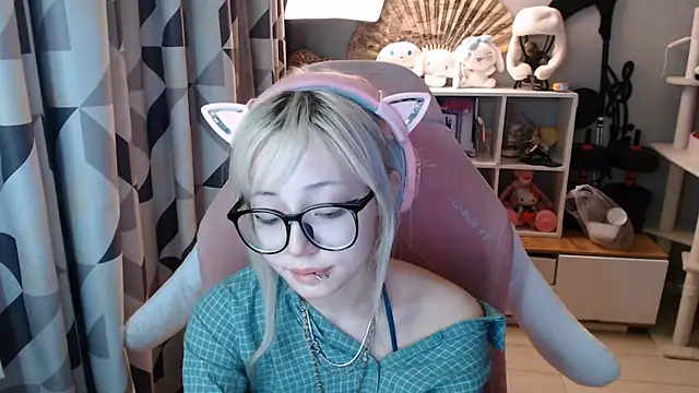 SaxonDibs webcam
