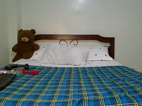 Shi_Assy webcam