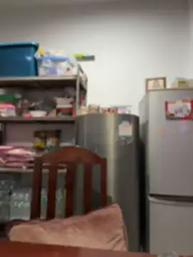 LINDA_HD webcam