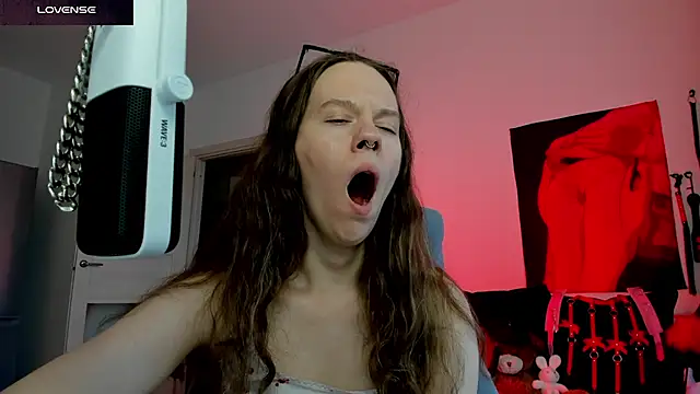 Vulgar_Tamer webcam