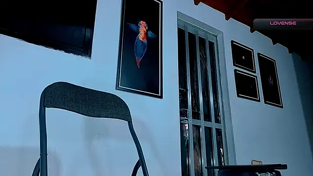 SilvaBranko webcam