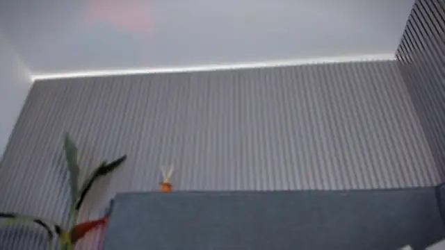 emelie_89 webcam