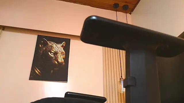 virtual_charm webcam