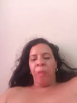 lapatronav2026 webcam