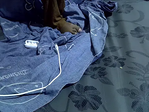 Avha1523 webcam