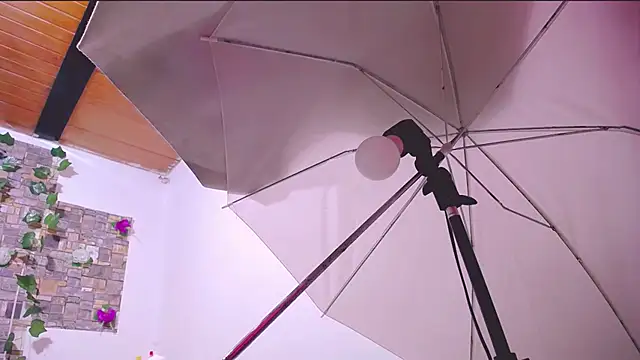 MaidenGame webcam