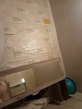 Tupo070481 webcam