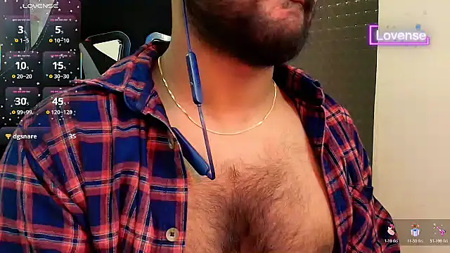 SilverShade3 webcam