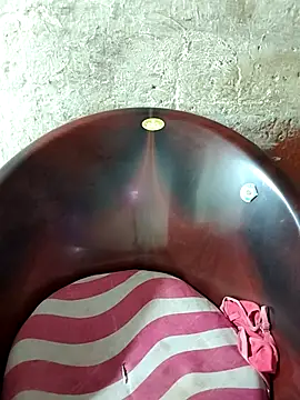 19SRIDEVITELUGU webcam