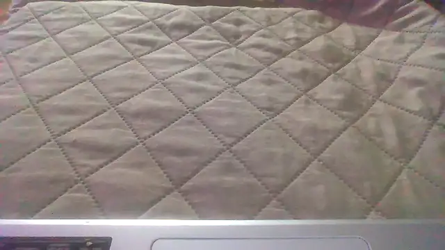 DickJohnson2026 webcam