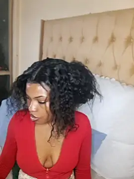 SATHIVA webcam