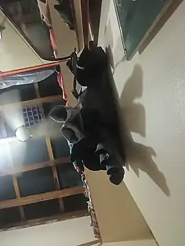coocon2020 webcam
