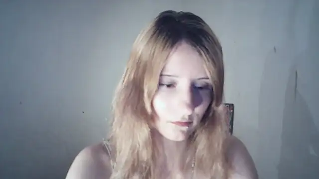SinaPalmeter webcam