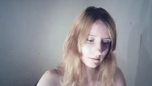 SinaPalmeter webcam