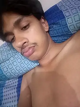silverarmy5 webcam