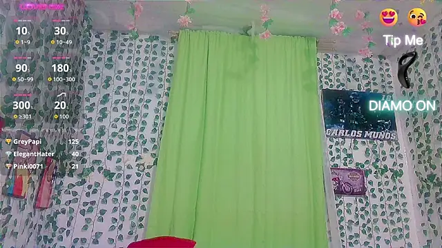 Andy_gray webcam