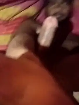 Desi_Cum_King_8_inch webcam