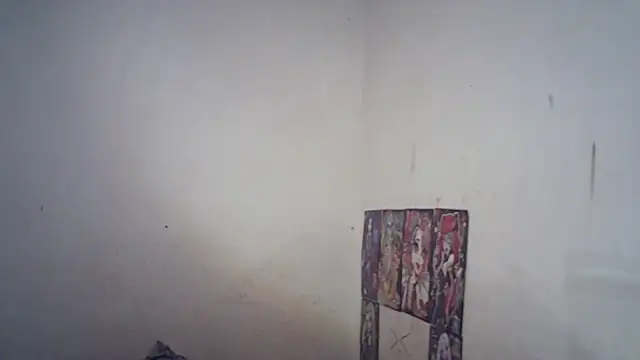 SinaPalmeter webcam
