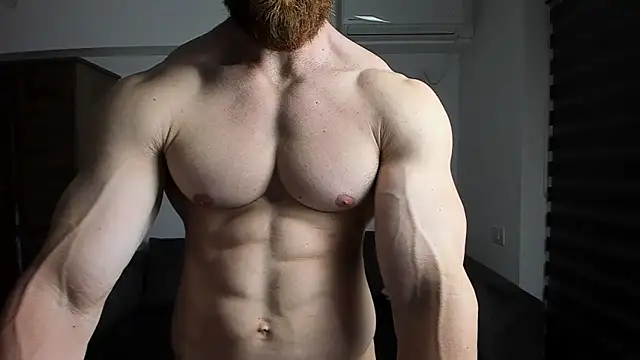 ZkkBlitz webcam