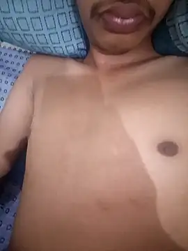 silverarmy5 webcam