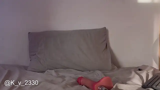 sofiesoft webcam