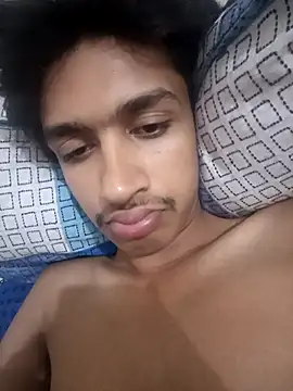 silverarmy5 webcam