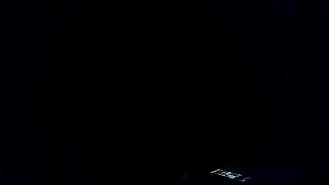alpha-hunk webcam