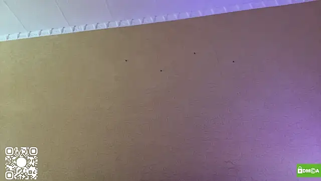 xXMelanieseXx webcam