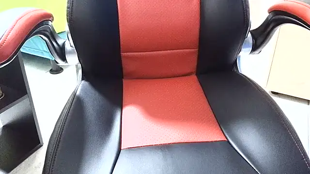 b1520 webcam