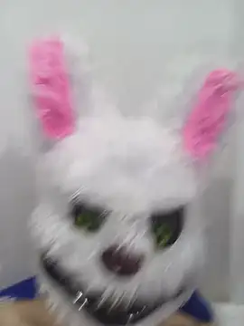 Happy_rabbith webcam