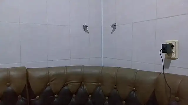 LinaLight88 webcam