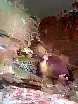 AshtonChicken webcam