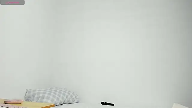 WowAna webcam