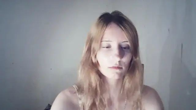 SinaPalmeter webcam