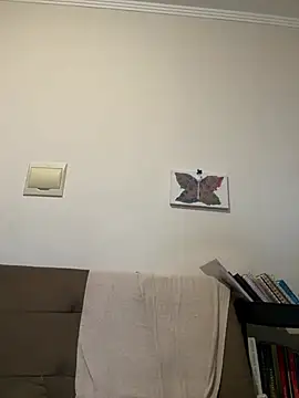 fire-vex webcam