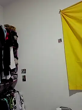 IrisBound webcam