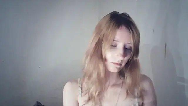 SinaPalmeter webcam