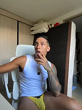 sendfer webcam