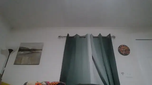 TWiSTYTheTwizted webcam